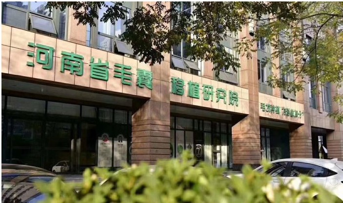 河南省毛囊移植研究院