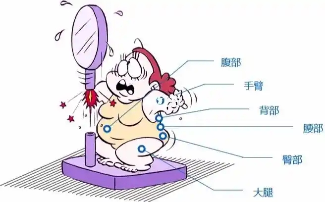 全身吸脂风险大吗(全身吸脂的手术前准备)